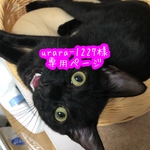 urara-1227様専用ページ
