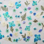 ★　ブルー系小花セット　押し花素材　★