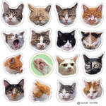 かわいい neko ねこ  シール3