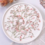 【押し花素材】かすみ草　オレンジ　　pressed flowers