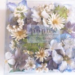 小さなビオラ、アジサイ花材Box