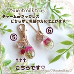 fureiro産♡姫バラの小さな雫ちゃん🌹⑤