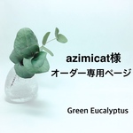azimicat様オーダー専用ページ