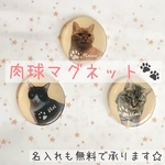 お写真入り肉球マグネット 犬 猫 ペット 名入れ可