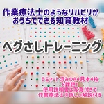 新ペグさしトレーニングⅡ 空間認知　指先練習