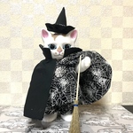 こはるちゃん用　ハロウィン🎃蜘蛛の巣セットアップ