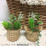 【2個セット】小さなグリーン
