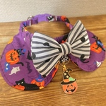 犬・猫の首輪　29～32　cocoちゃん丸襟リボンチョーカー　紫色・ハロウィン・黒猫・ジャックオーランタン