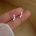 【ピアス】1ペア　小さな星のピアス　シルバーピアス　ミニピアス　プチサイズ