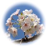 kiki様専用商品
