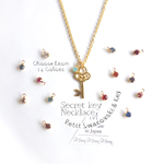 "Secret Key" Petit Swarovski 14colors Necklace
