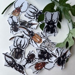 厳選カブトムシシール