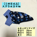 イタグレ服［ＩＭ完成品］大きな水玉半袖