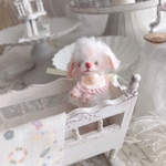 whip🍦 baby teddy わんこ