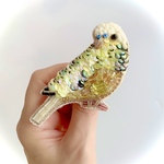 かわいいインコ✳︎ 鳥✳︎ビーズ刺繍ブローチ
