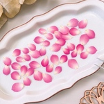 【押し花素材】バラの花びら　ミニ　ピンク　　pressed flowers