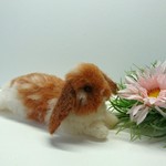 kerokeropiyo様 専用