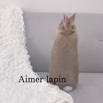 《りんたろうくん専用》　オーダーページ　羊毛フェルト　うさぎ　サイズ