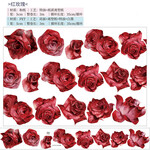 「熱烈な恋」赤い薔薇　バラのマスキングテープ　PET