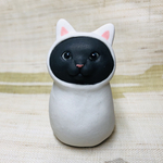 白猫に憧れて白猫を被る黒猫