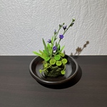 編み苔玉　丸葉と紫小花　器無し　かぎ針編み　