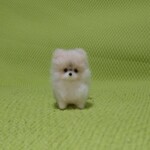 ポメラニアン 　クリーム　パピー　羊毛フェルト