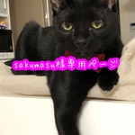 sakumasu様専用ページ