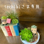 本タロー、豆皿タロー