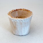 陶器製（2号ポット相当）　多肉植物の欲しがる植木鉢 NSSS-4528