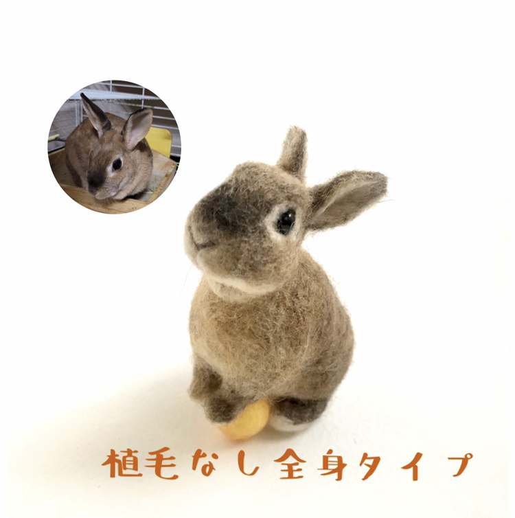 うさぎ　オーダー再開しました⸝꙳.˖様 7baf298927d66777a41f231941c31a