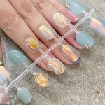 nail chip assort.