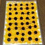 ① macoronが作ったミニひまわりみたいな可愛い「タカオ」のドライフラワー40冠です‼️