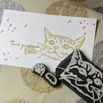 ひょっこり顔のトラ猫ちゃんと手のセット