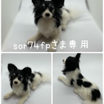 sor74fpさま専用　羊毛フェルト犬オーダーメイド　Mサイズ20cm
