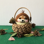 柴犬だるま🌰栗に変身〜♡