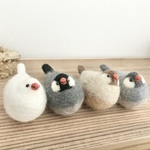 もっふり手乗り&居眠り文鳥さん　ご依頼品