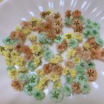 オレンジ×ミントグリーン系 かすみ草ドライフラワー100粒