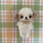 ちょこんとシーズーちゃん。