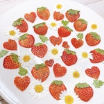 mai_coro様ご注文ページ　押しフルーツ