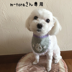 犬用スタイ・バースデースタイ