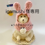 igamushi様専用