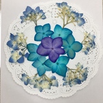 NO.820N 紫陽花サークル／押し花素材
