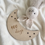 【送料込】月 moonの100days レターバナー