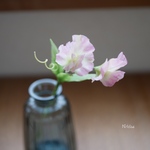 枯れない癒しの花✿クレイフラワーNO.S8ー2