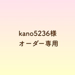 kano5236様専用フラッグガーランド イヤリング   