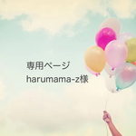 Haruyama-z様オーダーページ