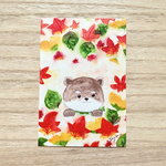 🍁透明水彩画「豆柴くんのもみじ狩り」イラストポストカード2枚セット  豆柴　柴犬　犬　紅葉　秋　もみじ　敬老の日　敬老の日カード