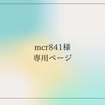 専用ページ