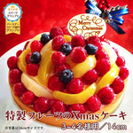 【送料無料】クリスマスケーキ 2023 予約 Xmasケーキ  フルーツケーキ フルーツタルト 14cm（3～4名様）記念日 ケーキ ギフト タルト ホールケーキ チーズケーキ お取り寄せ
