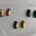 ネイルチップ  ワンカラー マグネット